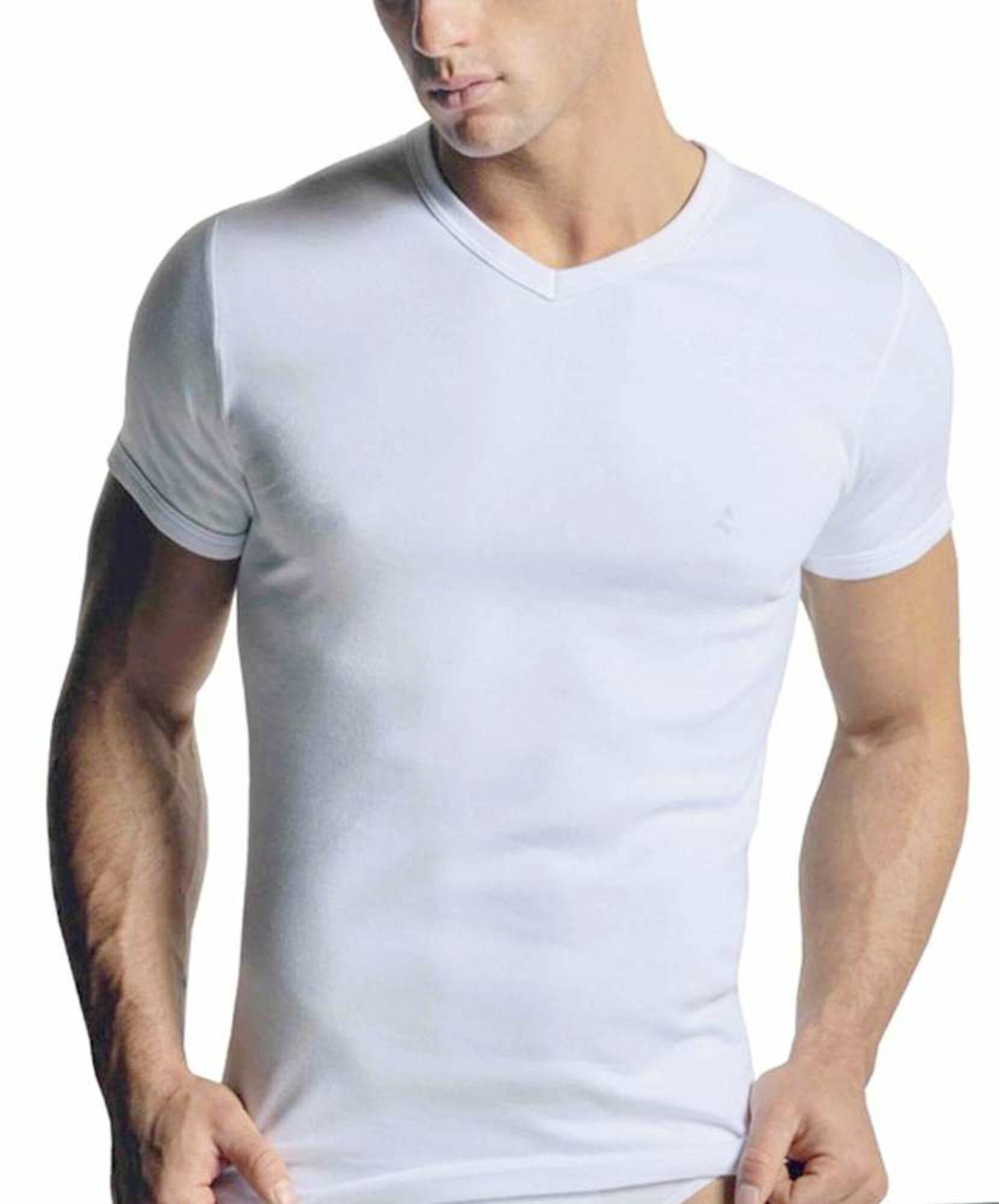 5 Magliette Uomo Tex Leaves – Girocollo Misto Cotone, Confezione Multipla Bianco (M)