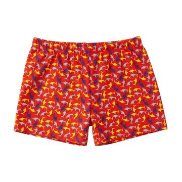 SHORT MARE BAMBINO ANDY&GIO AQ03 - SITE_NAME_SEO