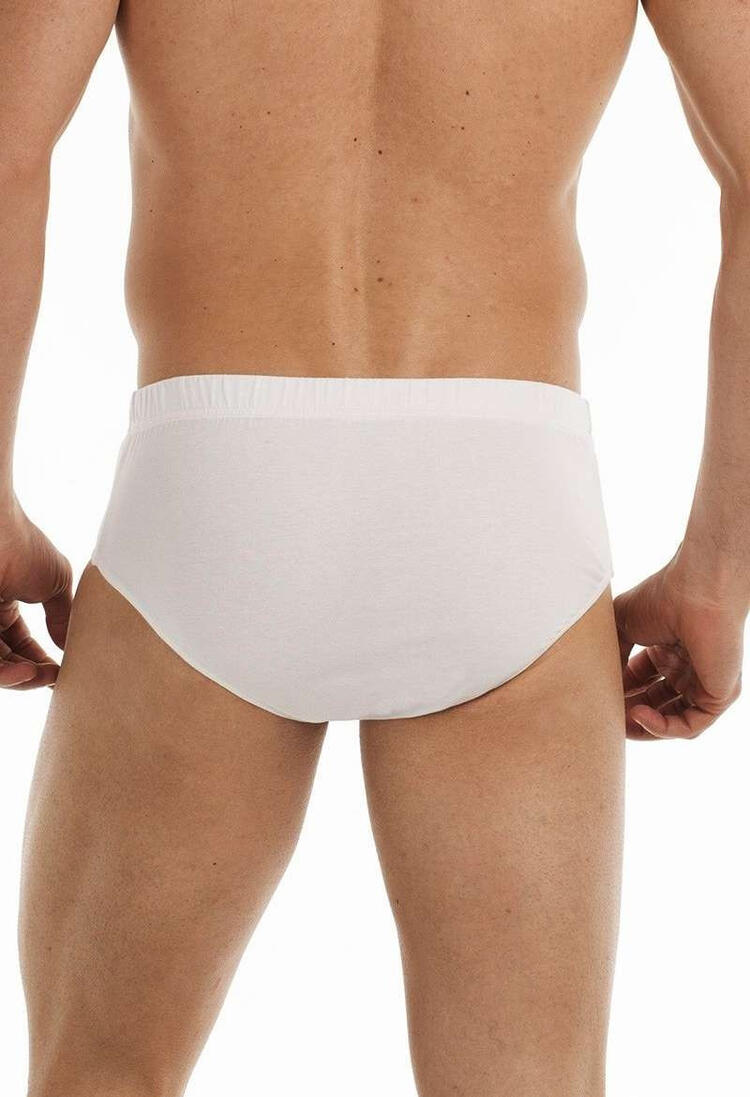  MEN'S GARDA COTTON BRIEF 2084 Garda