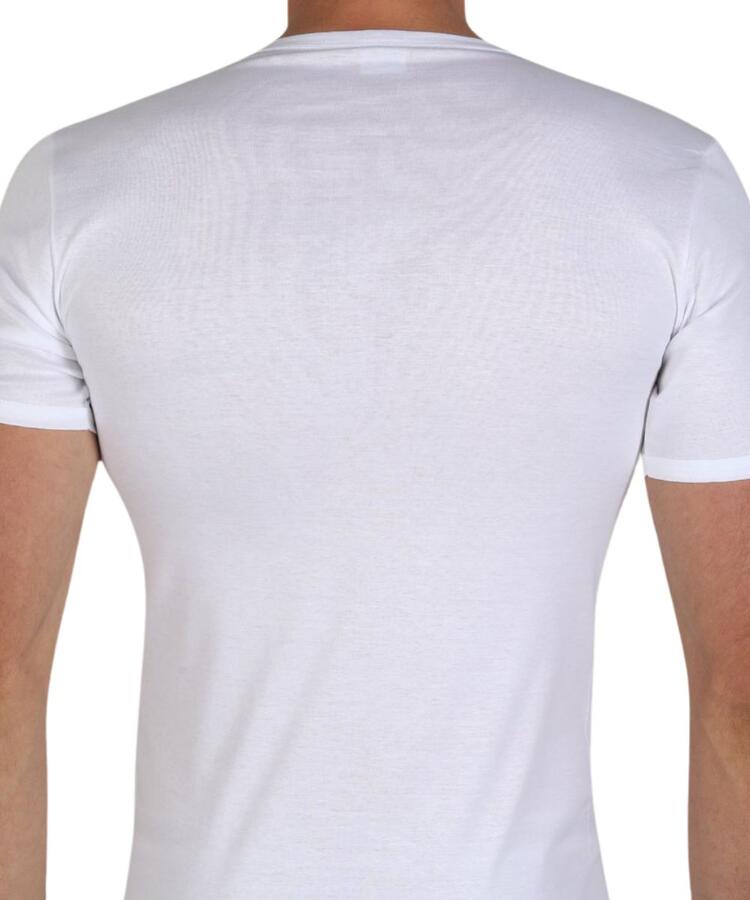 Men's T-shirt in mercerized cotton thread Fragi 1340 Leon Fragi