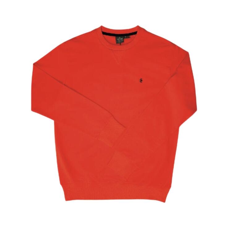 FELPA UOMO PRIMAVERILE COTONE A GIROCOLLO COVERI FE3286 Coveri Moving