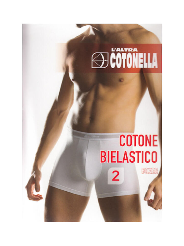 V-shaped Brazilian briefs in stretch cotton Cotonella GD471 (tri