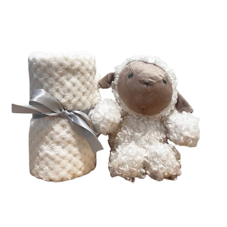 WDD15 SET REGALO Mafer